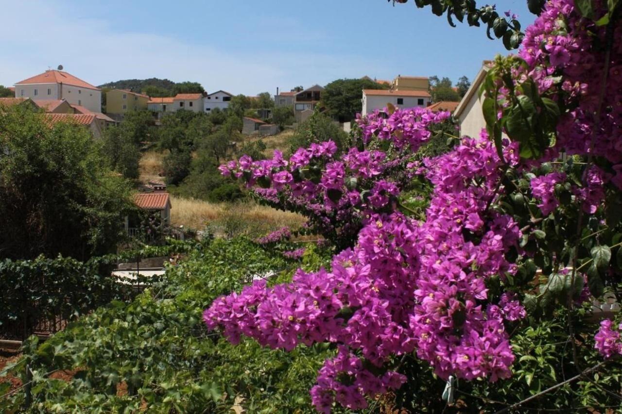 Apartment Ralje Sali Εξωτερικό φωτογραφία
